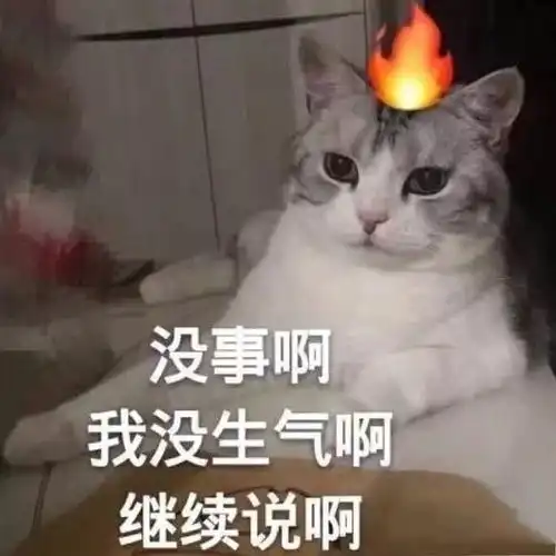  表情包你说的话我都记得,只是不再相信了