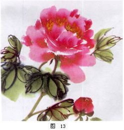  中国画牡丹的画法
