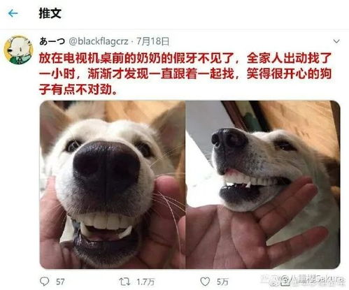  无聊图热榜0720