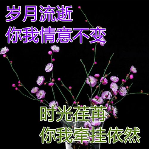  真挚温馨的早上好动态祝福图片祝福暖心早安动态表情包