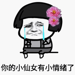 好笑表情包小仙女