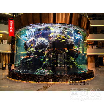  杭州鱼缸定制风水鱼缸大型鱼缸定做价格实惠-黄页88网