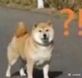  给男友选了情侣头像...结果他说自己被绿了爱情有多脆弱