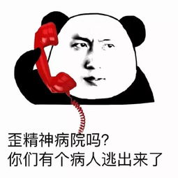  一组熊猫表情包奉上搜狐搞笑搜狐网