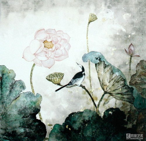  荷的传说