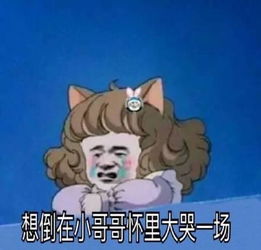  2017年度cp江辰陈小希最甜,星玥夫妇最虐,他一人就能组cp