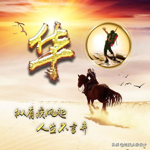  精美的微信头像,整整40张,同一款样式两种字体励志霸气等你来用