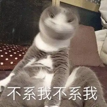 那我不要了表情包猫猫