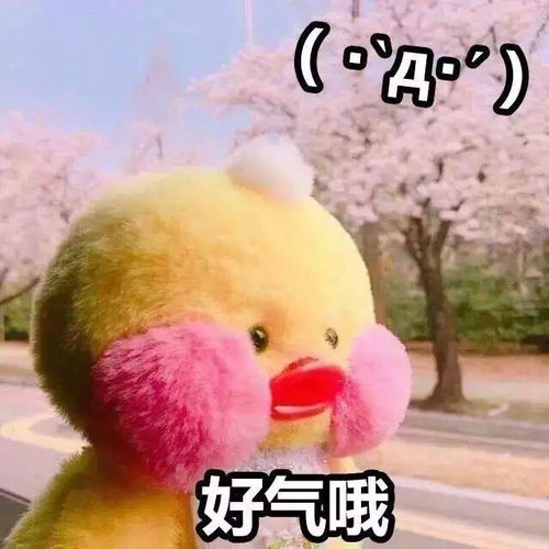  高清美图史上最萌头像新鲜出炉啦