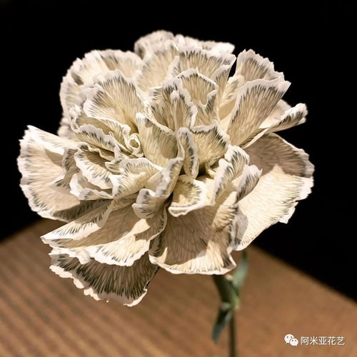  如何给鲜花染色,制作出独一无二的色彩
