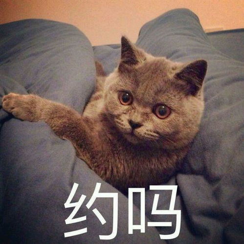  要走的留不住