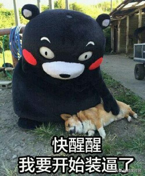  从生理角度大胆聊聊,男生腰不行是什么体验......