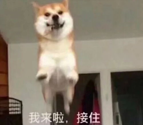  沙雕表情包文案