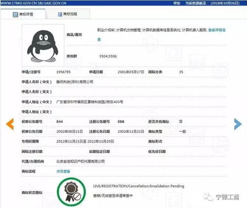 qq企鹅头像高清大图坦白