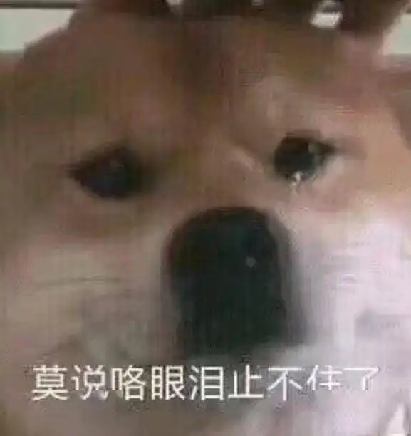 海宁跌至6双台风来了18号莫拉菲马上生成,要一冷到底了