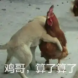  鸡年斗图必备不用这些表情包,怎么好意思跟别人聊天逗乐