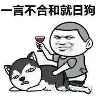  2016年火爆互联网的段子你知道几个