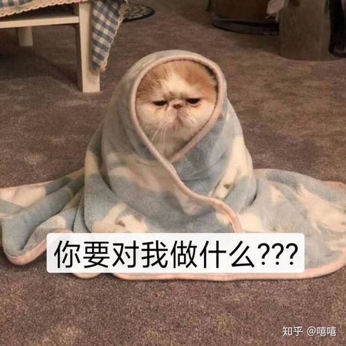  有哪些沙雕而不乏可爱的表情包狗头