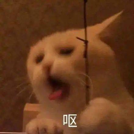  男子写80页ppt花5800元拯救爱情却离婚,情感挽回机构甩锅他实操迟缓