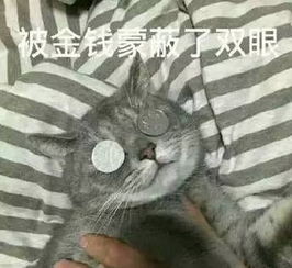  这些最容易被误会的苦逼专业,看完真是心疼你们