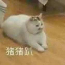  天涯明月刀群星荟萃的天刀群侠团,有他们,才是江湖