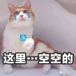  走过最长的路就是马云爸爸的套路