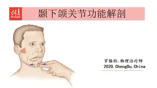  颞下颌关节功能解剖学习脸歪弹响不明原因头痛你该看看这里了