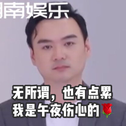  赵兆老师崩溃表情包