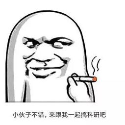  这些写论文的表情,哪些属于你