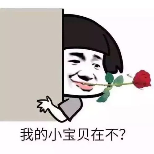  厨柜部服务月服务之星花落哪家