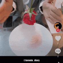  抖音爆红玫瑰甜品挑逗味蕾在世界行走的名厨登陆多伦多
