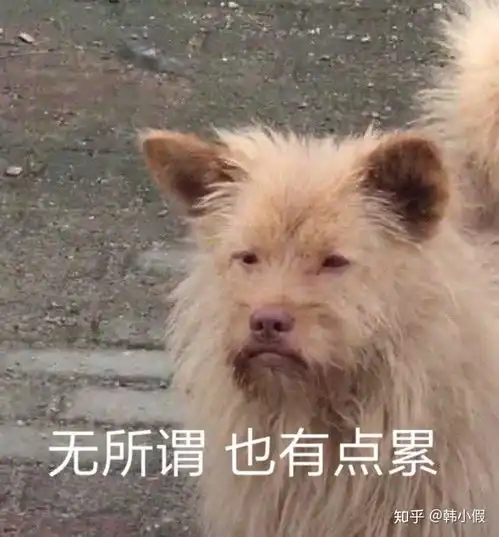  拔智齿的经验以及悲惨教训