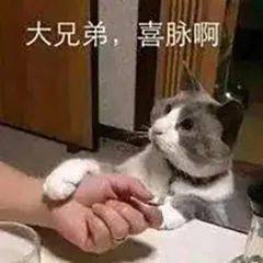  表情包