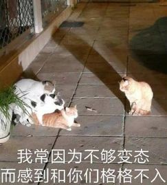  看完100条差评,我知道战意这款游戏真的不简单