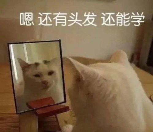 淘宝表情包图片解释学医