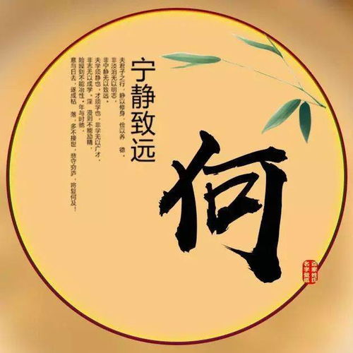  中老年头像大全各种不同风格,满满的年代感,可留言定制