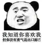  幽默搞笑表情包和我在一起吧,起码我比别人多十几斤肉爱你们