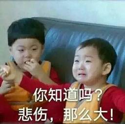  第29届澳门国际烟花比赛汇演已取消