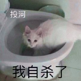  转发锦鲤已经过时了,阿里这次又送了一整个仓库