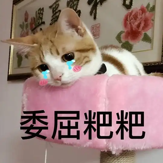  小火汁摇了我八的相册大脑斧表情包