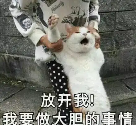 绝不认输表情包 斗图考