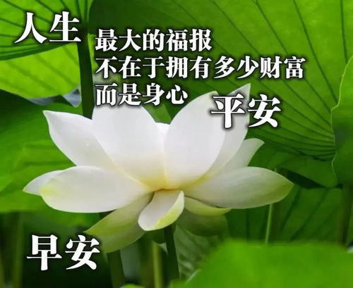  微信早上好问候朋友的暖心祝福语录,早安问候祝福动态表情图片