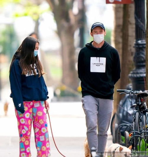  休杰克曼曾拒绝电影版猫,因档期原因,不想随大流抨击
