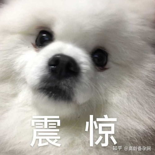  58岁高龄产妇生下双胞胎那些超高龄生育的家庭都怎样了