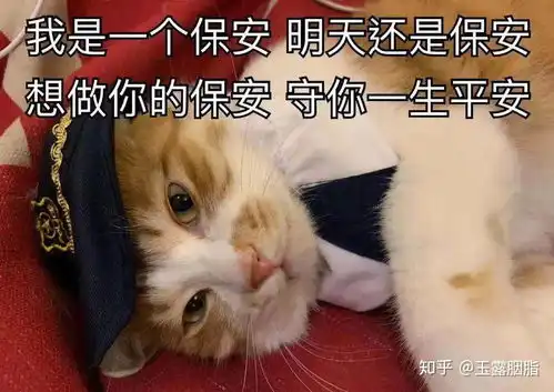  去高铁做乘务员还是去医美公司做销售呢