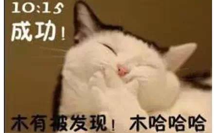  上班喵的一天,不能再苦逼了而这,就是我们的生活
