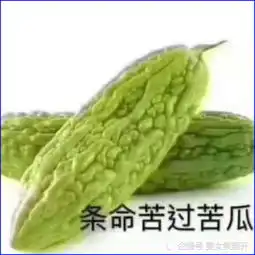  搞笑男女朋友聊天表情包我是狗,最近好多人偷猪我怕你出事