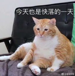  曾羡蜉蝣的微博微博