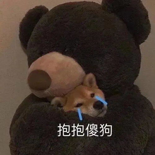  表情包无爱一身轻单身是精英