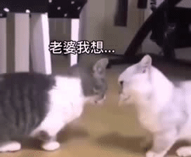  沙雕斗图表情包我手机下不了pdd